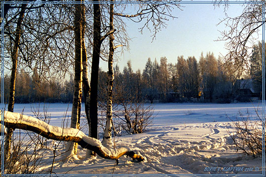 фото "Зимняя картинка" метки: пейзаж, зима, лес