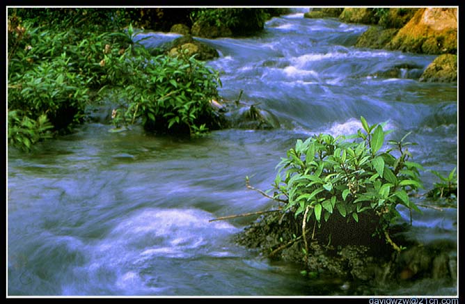 photo "The rill" tags: landscape, water