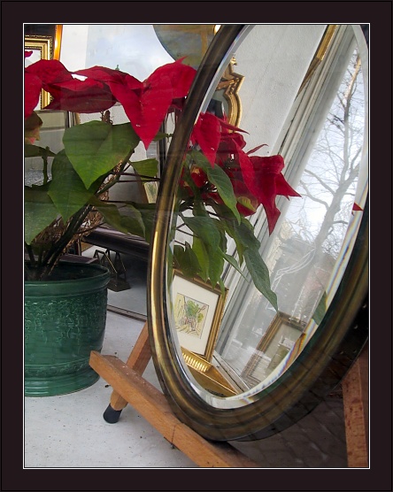 photo "Pointless Still-Life with Too Many Reflections" tags: still life, 