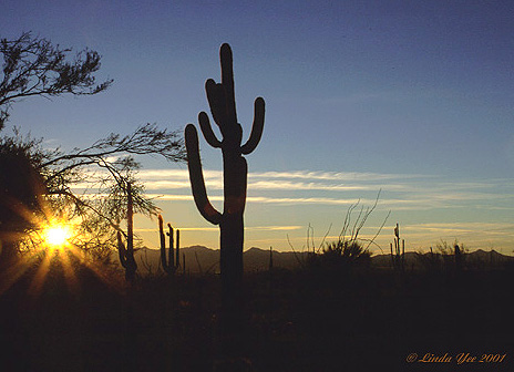 photo "There Goes the Sun" tags: landscape, travel, North America, sunset