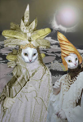 photo "cats in Venice" tags: misc., montage, 