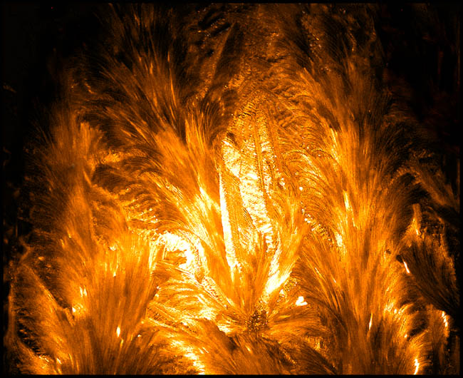 photo "Patterns at a window: "Flame"" tags: abstract, nature, 