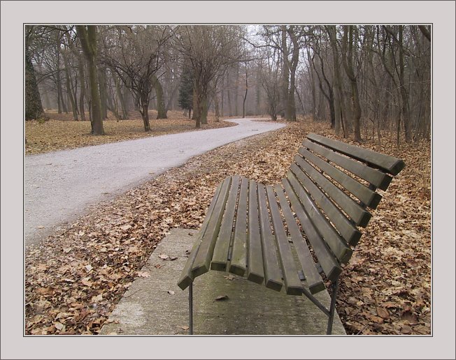 photo "Curves" tags: landscape, winter