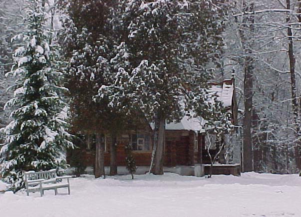 photo "The house in a wood" tags: landscape, forest, winter