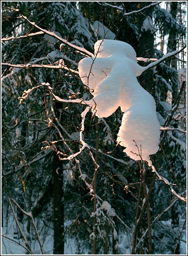 photo "Snow-creature" tags: nature, landscape, winter