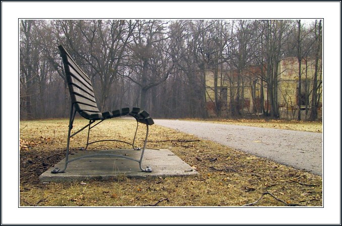 photo "How to Shoot Benches Silly" tags: still life, landscape, winter