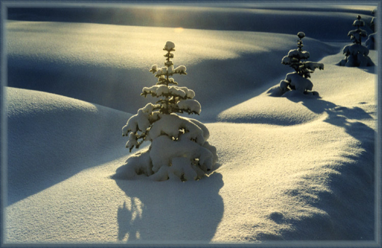 photo "On communal graves do not put crosses." tags: landscape, misc., winter