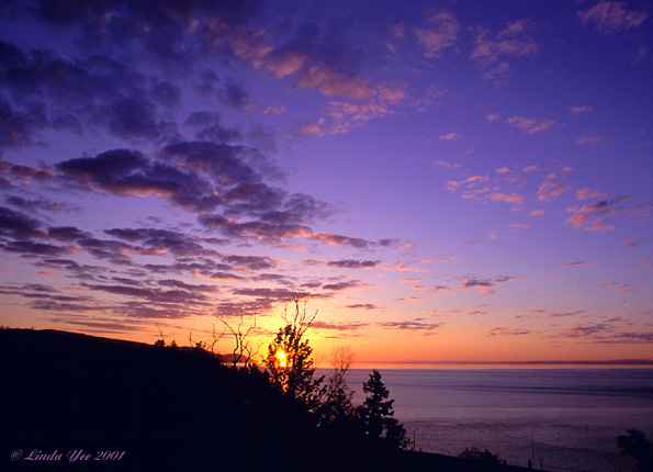 photo "The Burning Bush" tags: landscape, travel, North America, sunset