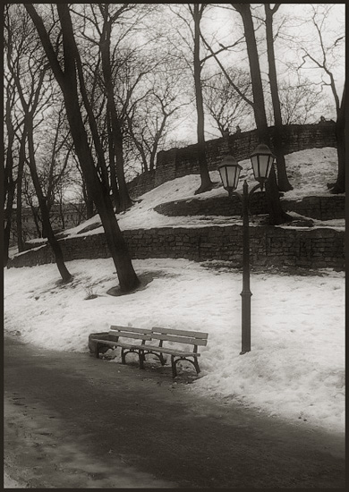 photo "Le Boulvard de Solitude" tags: landscape, genre, winter