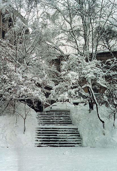 photo "The first snow-fall in Primorsky region" tags: landscape, winter