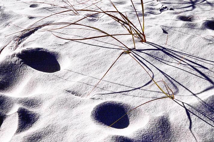 фото "Sand At The Beach" метки: путешествия, пейзаж, Северная Америка, зима