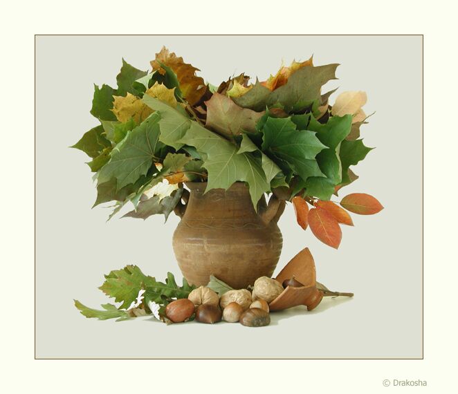 photo "Autumn still-life in light tones" tags: still life, misc., 