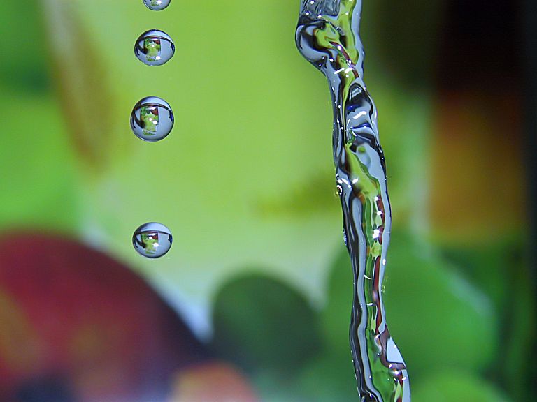 photo "Frozen in time" tags: macro and close-up, nature, 