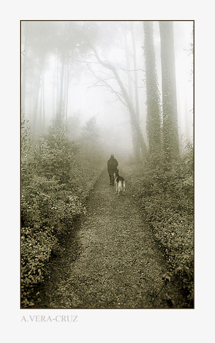 photo "Ambiencies I" tags: landscape, forest, winter