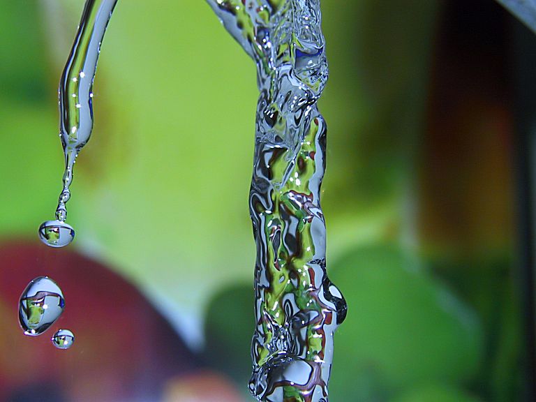 photo "Frozen in Time - Part 2/14" tags: macro and close-up, nature, 