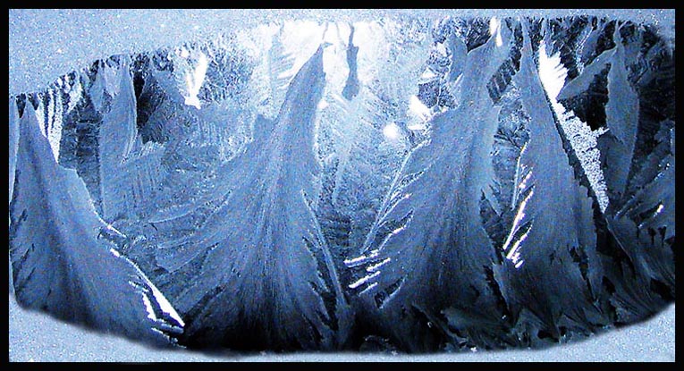 photo "Patterns at a window: "Wood"" tags: abstract, nature, 