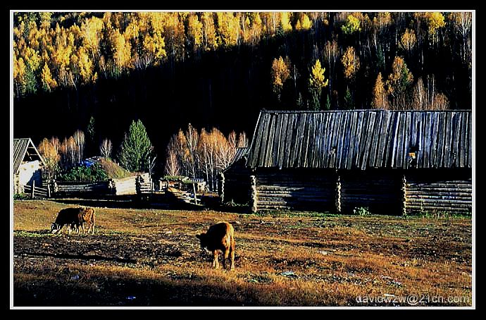 photo "Farm" tags: landscape, autumn