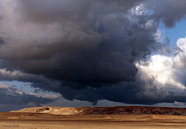 фото "The Storm" метки: пейзаж, облака