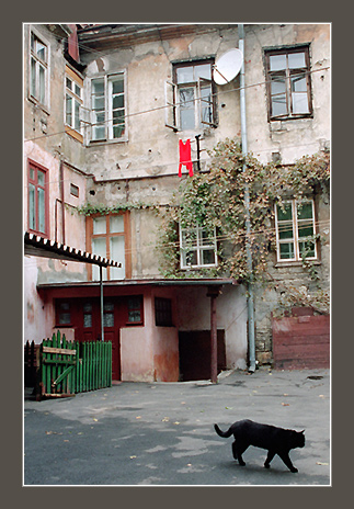 photo "Old Odessa. A court yard on Deribasovskajaa" tags: architecture, misc., landscape, 