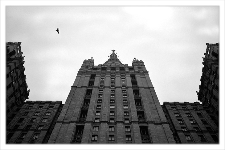 photo "Two Birds: Imperial Eagle and Free Crow" tags: genre, architecture, landscape, 