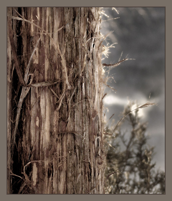 photo "****" tags: misc., 