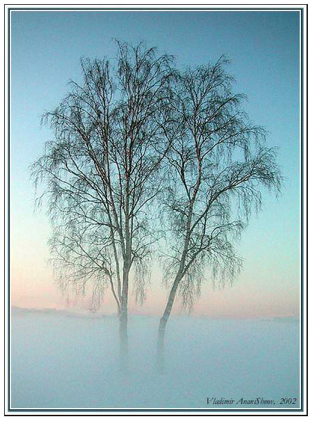 фото "Берёзки" метки: пейзаж, зима