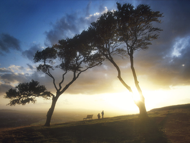 фото "Two Trees at Sunset" метки: пейзаж, путешествия, Европа, закат