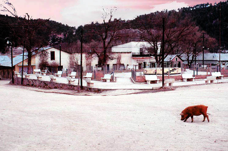 фото "A "One-Pig" Town" метки: путешествия, архитектура, пейзаж, Северная Америка