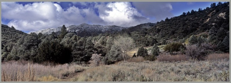 фото "Mountain Meadowland" метки: пейзаж, горы