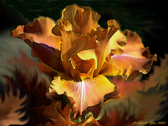 photo "Copper Fire" tags: montage, nature, flowers