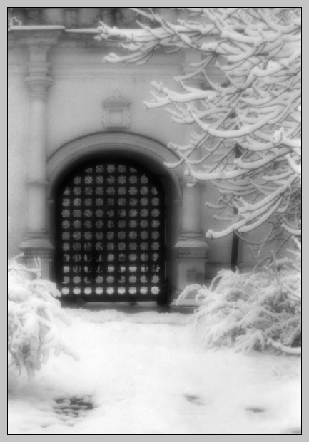 photo "Door in winter dream" tags: nature, 