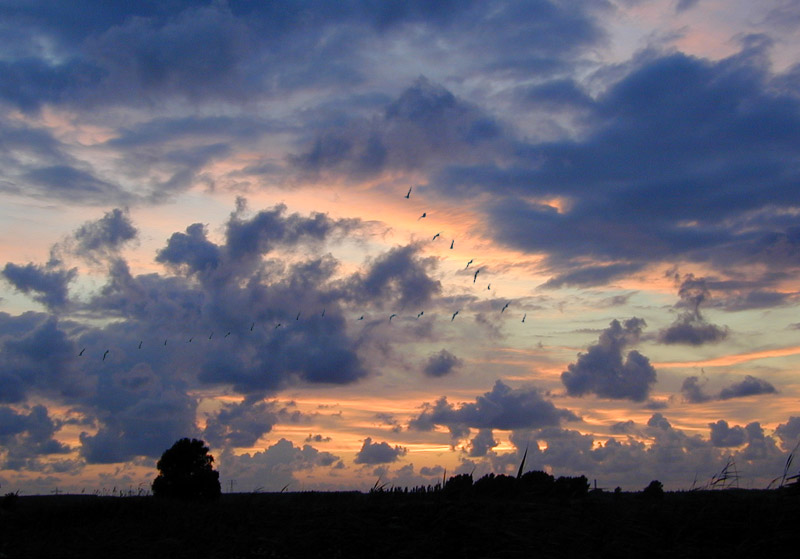 photo "Untitled" tags: landscape, clouds