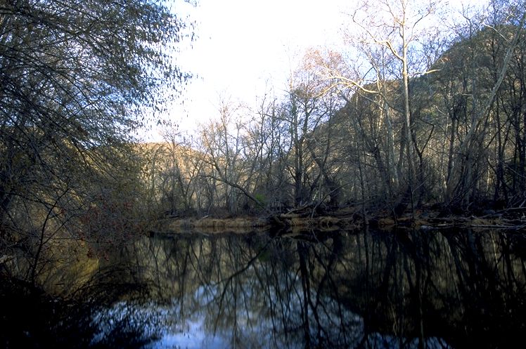 фото "Wet Beaver Creek" метки: пейзаж, вода, лес