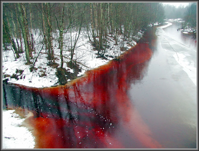 photo "Spring in february" tags: landscape, water, winter