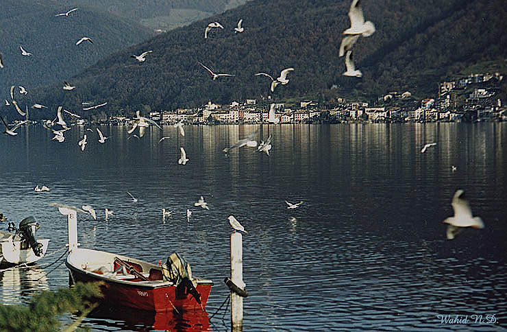 photo "The Birds" tags: landscape, travel, Europe, water