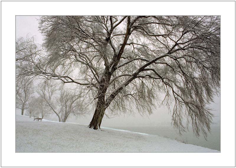 photo "First Snow" tags: landscape, winter