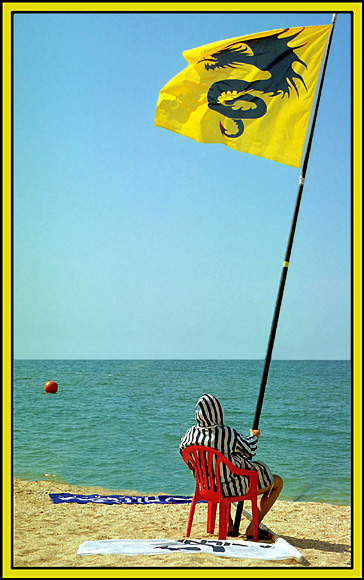 photo "Yellow flag" tags: sport, humor, 