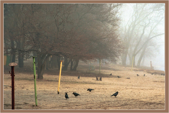 photo "Crows`s beach" tags: landscape, misc., winter