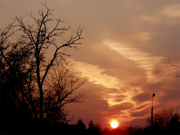 photo "at sunset" tags: landscape, sunset, winter