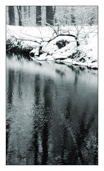 фото "Северный олень" метки: пейзаж, вода, зима