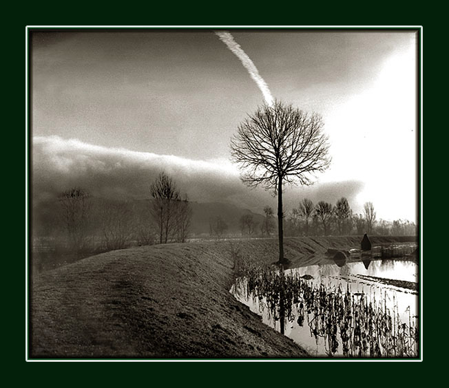 photo "Morning" tags: landscape, water, winter
