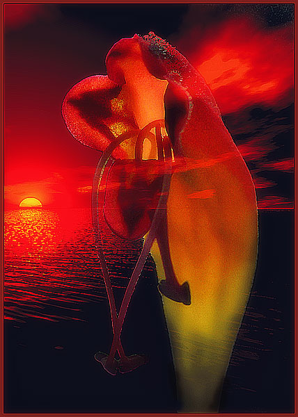 photo "Untitled photo" tags: montage, nature, flowers
