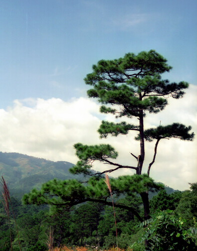 photo "***" tags: landscape, travel, Asia, mountains