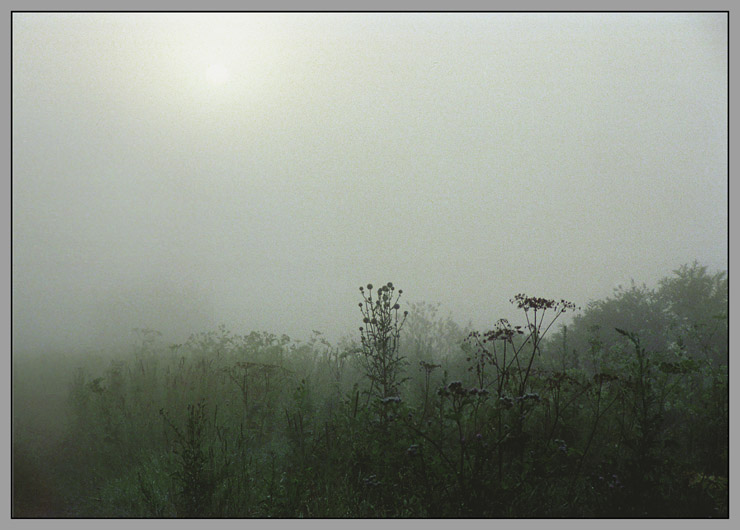photo "Expectation of summer fogs." tags: landscape, summer, sunset