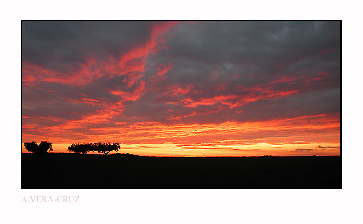 photo "Burning Skies" tags: landscape, autumn, sunset