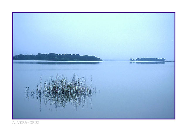 photo "Quitness" tags: landscape, water
