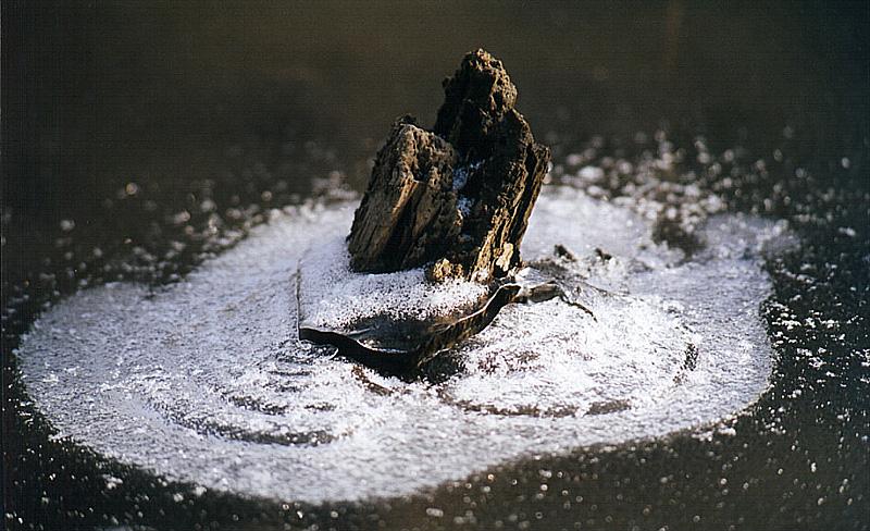 photo "From ice" tags: nature, 