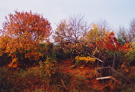 photo "**" tags: landscape, autumn