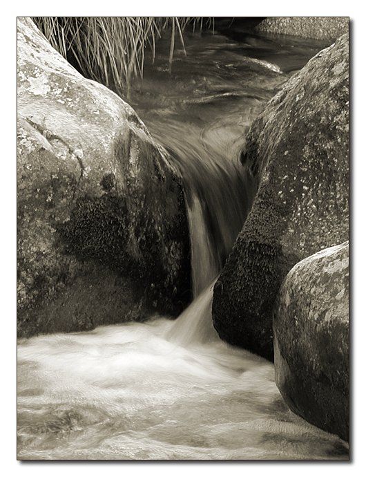 photo "Water #4 - The path" tags: landscape, nature, water