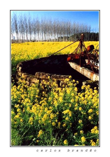 фото "..." метки: разное, 